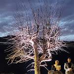 Photo n°3 de l'avis de Nadia.i fait le 04/04/2023 à 15:49 sur le  Castello Brancaccio à San Gregorio da Sassola