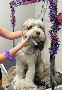 Groomer’s Touch - Photo 1 - Car repair in Oakmont, PA, Pittsburgh