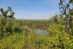 Torreya State Park image