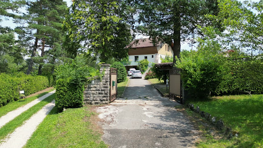 La Maison du Lac 335 Imp. des Écureuils, 39130 Doucier, France
