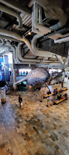 Wedding Planner «Sensational Events», reviews and photos, 4967 E Roy Rogers Rd, Cave Creek, AZ 85331, USA