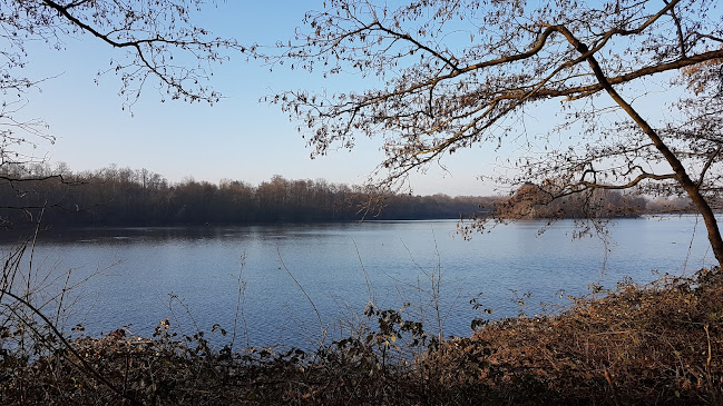 Rezensionen über Glas Baar in Baar - Glaser