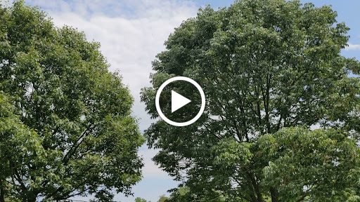 Golf Club «Muirfield Village Golf Club», reviews and photos, 5750 Memorial Dr, Dublin, OH 43017, USA