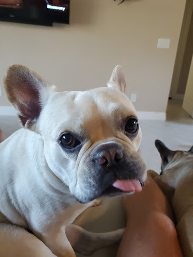 Pet Store «The Pet Zone», reviews and photos, 2001 South Rd, Poughkeepsie, NY 12601, USA