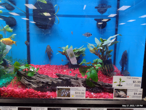 Pet Store «Pet Supermarket», reviews and photos, 2542-2598 S Washington Ave, Titusville, FL 32780, USA