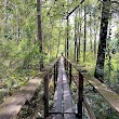 Florida Trail/Flagler Trail Trailhead