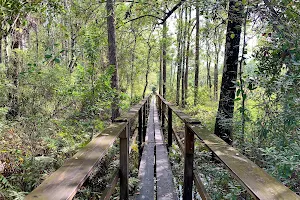 Florida Trail/Flagler Trail Trailhead image