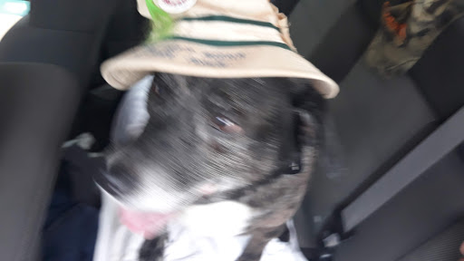 Pet Supply Store «Pet Supplies Plus», reviews and photos, 1510 Scranton Carbondale Hwy, Scranton, PA 18508, USA