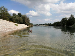 Ticino Beach的照片 位于自然区域