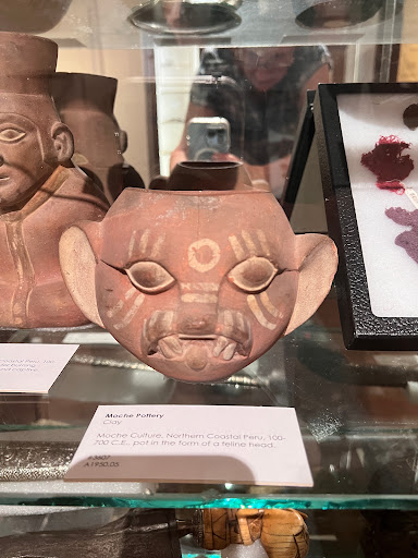 Museum «Pacific Grove Museum of Natural History», reviews and photos