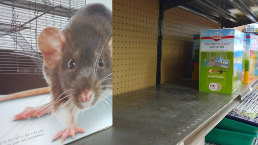 Pet Supply Store «Petco Animal Supplies», reviews and photos, 1350 S Ironton St #120, Aurora, CO 80012, USA