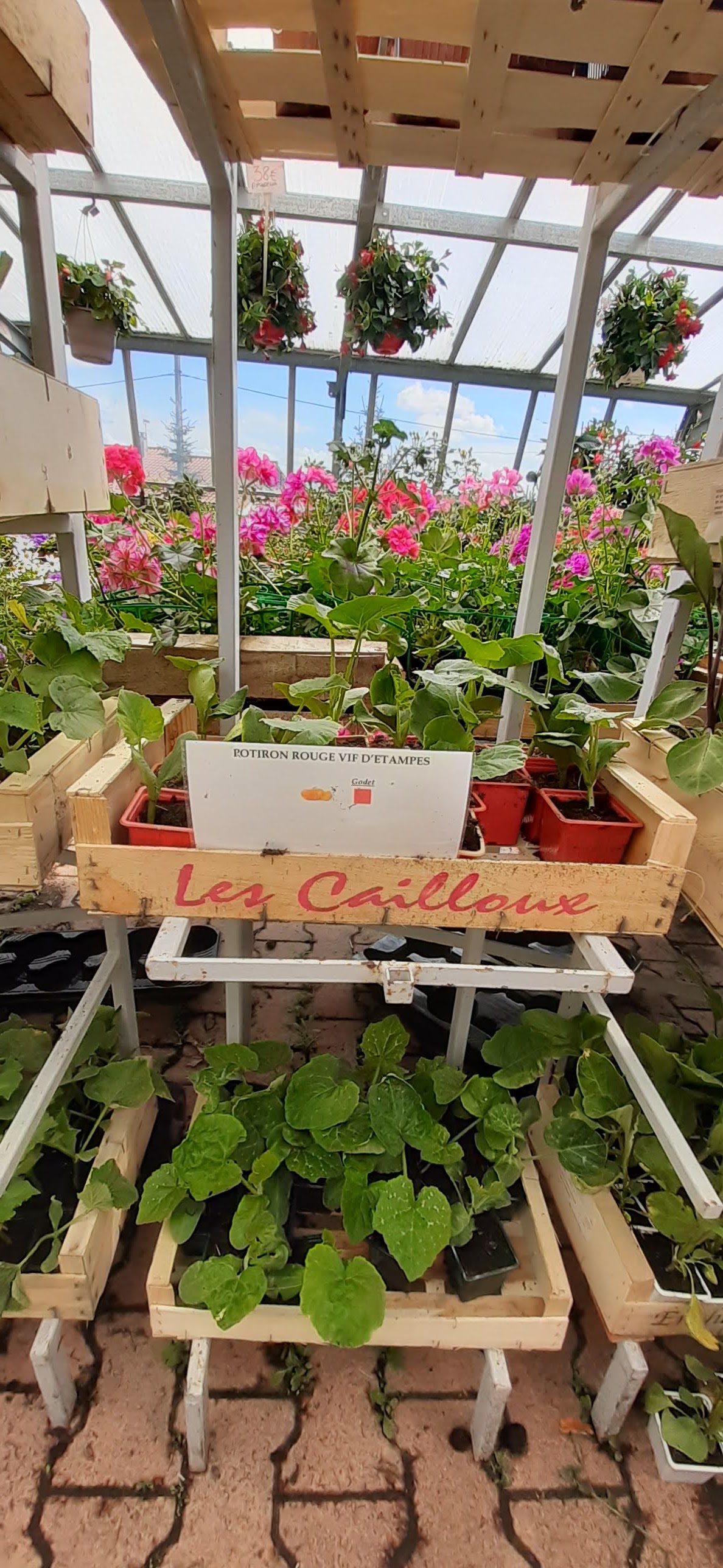 Photo n° 4 de l'avis de Martine.E fait le 13/05/2021 à 10:06