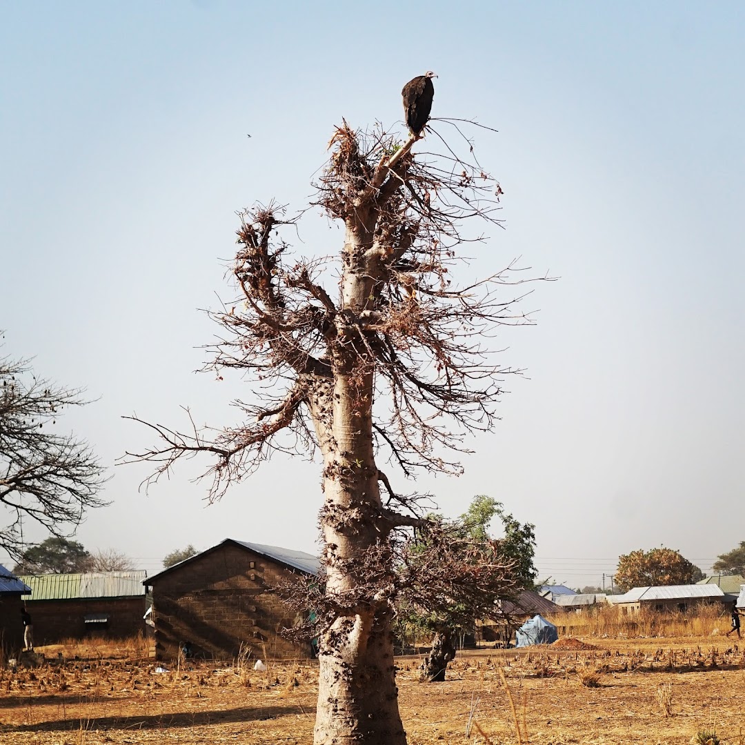 Bolgatanga, Gana