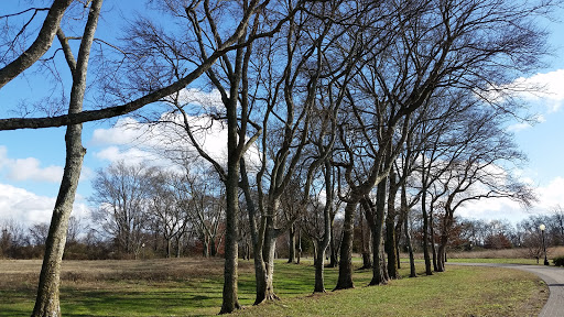 Dog Park «Murfreesboro Bark Park», reviews and photos, 1540 W College St, Murfreesboro, TN 37130, USA