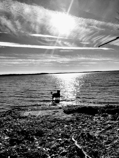 Park «Hudson Park», reviews and photos, 2919 Lakeland Ave, Madison, WI 53704, USA