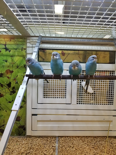 Pet Supply Store «PetSmart», reviews and photos, 1040 Cross Creek Dr, Saltillo, MS 38866, USA