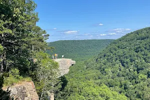 Ozark - St. Francis National Forest image