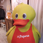 Photo n°1 de l'avis de Chiara.a fait le 06/03/2019 à 23:41 sur le  Le Papere in Barchessa à Casale sul Sile