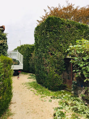 Delage William à Scorbé-Clairvaux