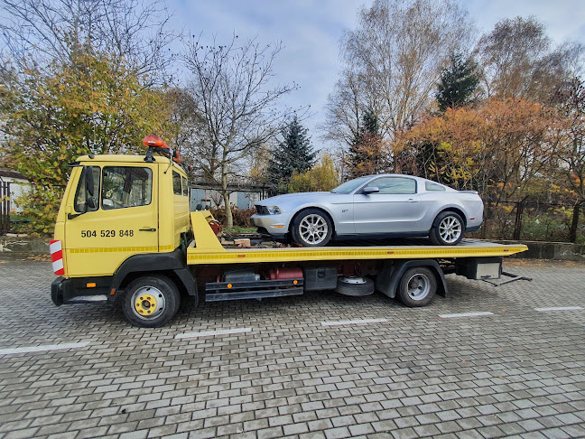 Autoholowanie, autopomoc: Andrzejczyk - Polesie