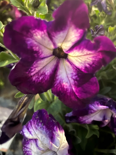 Home Improvement Store «The Home Depot», reviews and photos, 899 County St, Taunton, MA 02780, USA