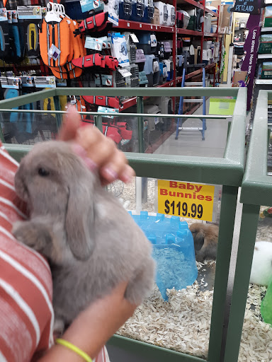 Pet Store «Petland Montgomery», reviews and photos, 7127 Eastchase Pkwy, Montgomery, AL 36117, USA