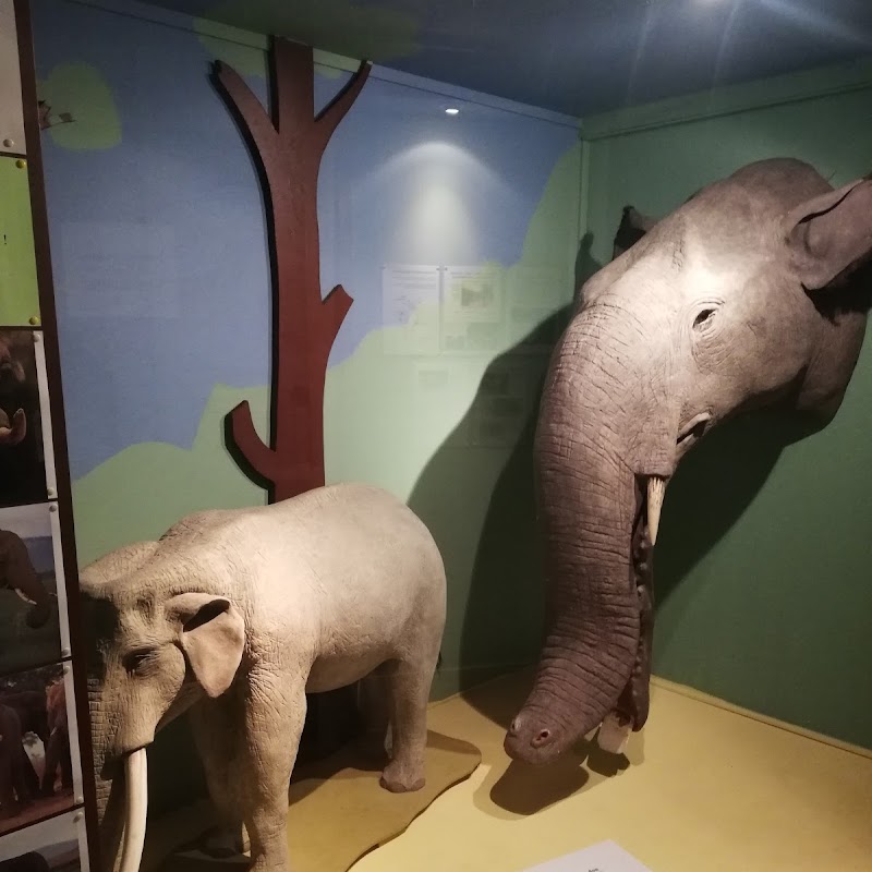 Privates Museum für Tierkunde