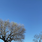 Photo n°1 de l'avis de Carolina.o fait le 26/04/2022 à 18:43 sur le  Hotel Emilia à Portonovo