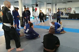 Aorta Training Center Jiu-Jitsu Brésilien, Bjj, Grappling, Karaté image