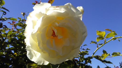 Park «Marine View Park», reviews and photos, 20945 Marine View Dr SW, Normandy Park, WA 98166, USA