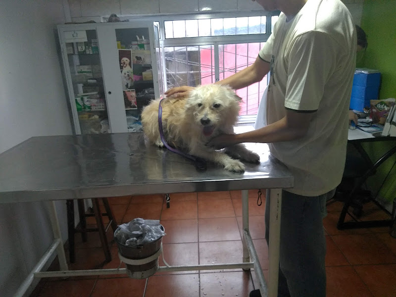 Centro Veterinário Popular — Veterinário em São Paulo, SP