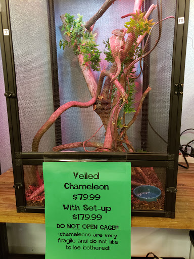 Pet Store «Fish & More Pet Store», reviews and photos, 310 E Main St #8, Sylva, NC 28779, USA