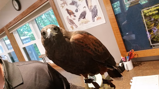 Nature Preserve «Iowa Raptor Center», reviews and photos, 2095 Mehaffey Bridge Rd NE, Solon, IA 52333, USA