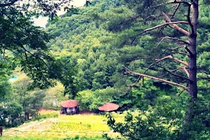 Geumbong Recreational Forest image