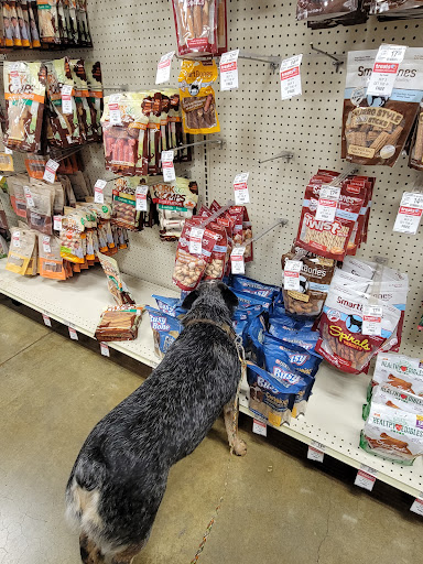Pet Supply Store «PetSmart», reviews and photos, 1954 Santa Rosa Ave, Santa Rosa, CA 95407, USA