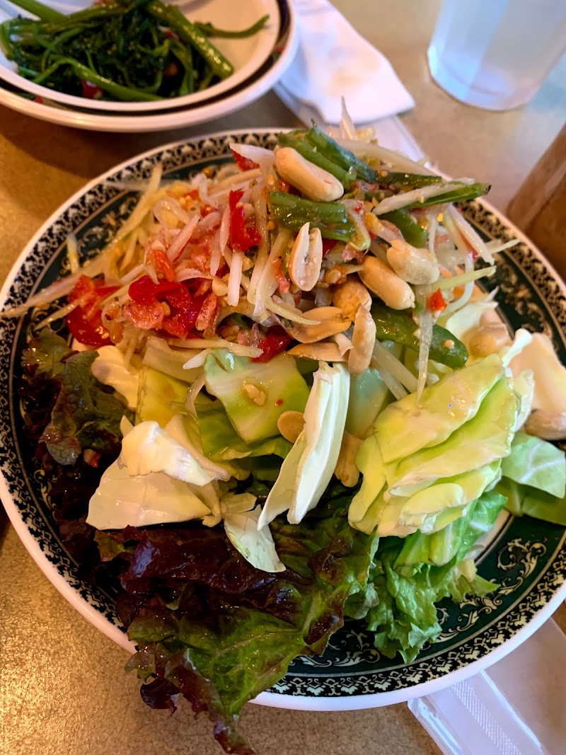ペットショップcoo Riku 下北沢店 東京都世田谷区北沢 グルコミ