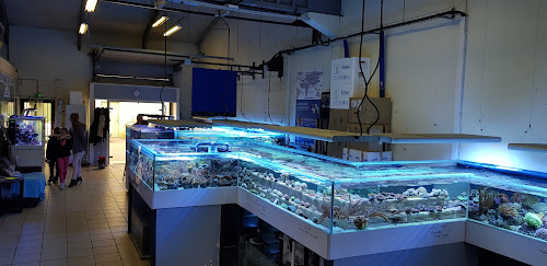 Magasin d'aquariophilie Marinehome Artas