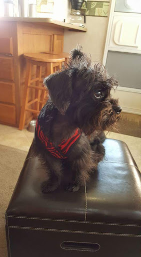 Pet Supply Store «Petsense Foley», reviews and photos, 2139 S McKenzie St, Foley, AL 36535, USA