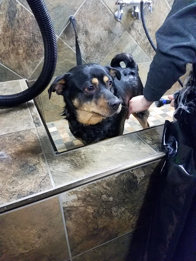 Pet Supply Store «Pet Valu», reviews and photos, 150 Main St, Lodi, NJ 07644, USA