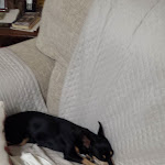 Photo n°1 de l'avis de Giuliana.e fait le 29/06/2019 à 18:43 sur le  Pizzeria Alla Torre à Canneto sull'Oglio