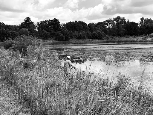 Nature Preserve «Meacham Forest Preserve», reviews and photos, Circle Ave, Bloomingdale, IL 60108, USA