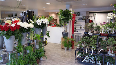 Paris Tours Fleurs à Tours