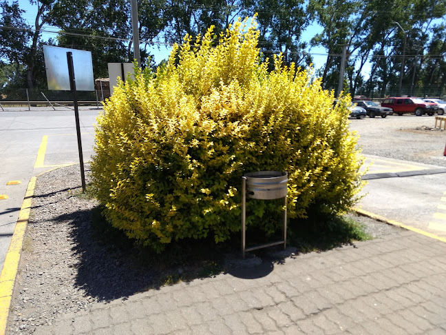 Planta CCU, Temuco - Lautaro
