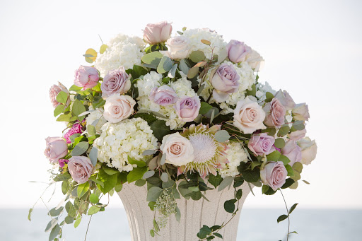 Florist «Botanica International Florist Inc.», reviews and photos, 1715 W Cypress St, Tampa, FL 33606, USA