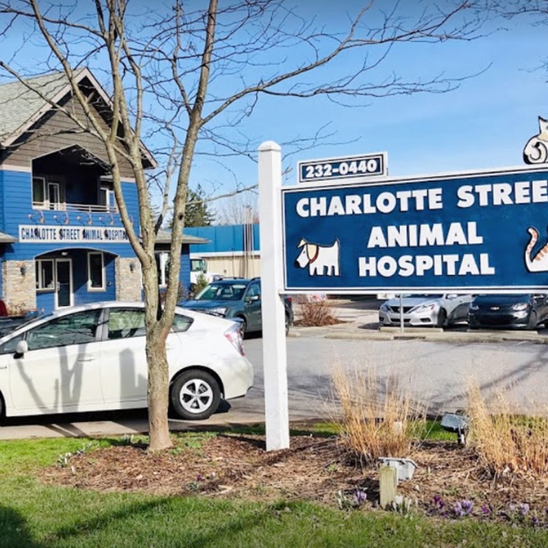 Charlotte Street Animal Hospital