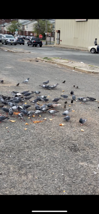 Salafy We Care Day Care - Photo 6 - Car repair in , Newark