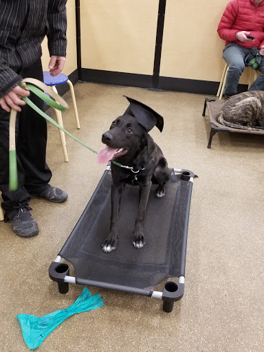 Pet Supply Store «PetSmart», reviews and photos, 4300 E Alameda Ave, Glendale, CO 80246, USA