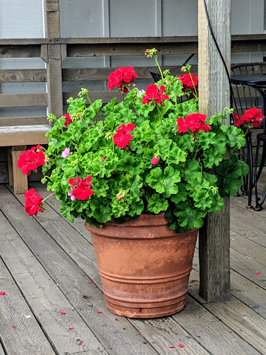 Cafe «Siuslaw River Coffee Roasters», reviews and photos, 1240 Bay St, Florence, OR 97439, USA