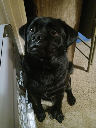 Pet Supply Store «Petco Animal Supplies», reviews and photos, 4950 S 76th St, Greenfield, WI 53220, USA