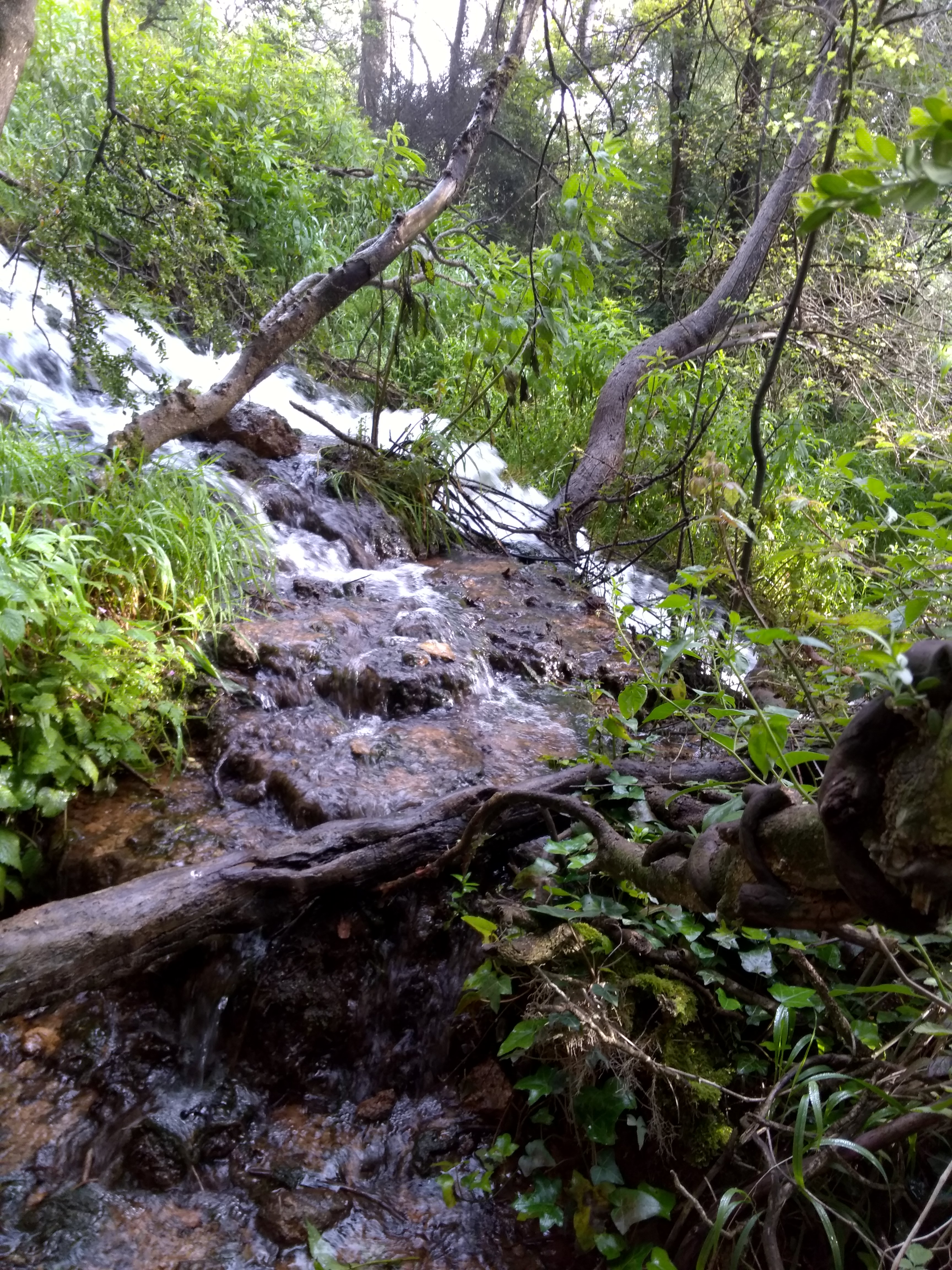 Photo n° 10 de l'avis de Thierry.v fait le 27/06/2018 à 10:34